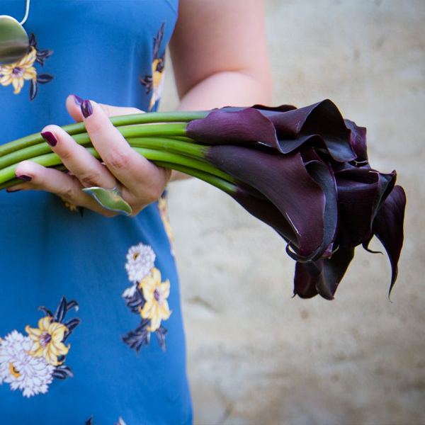 About us - Why black calla